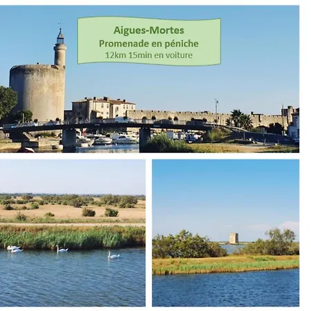 Le Reymar, Vue & Acces Direct A La Parking Prive Clim - Rossiconciergerie - Linge Inclus
